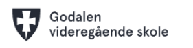 Godalen Videregående Skole